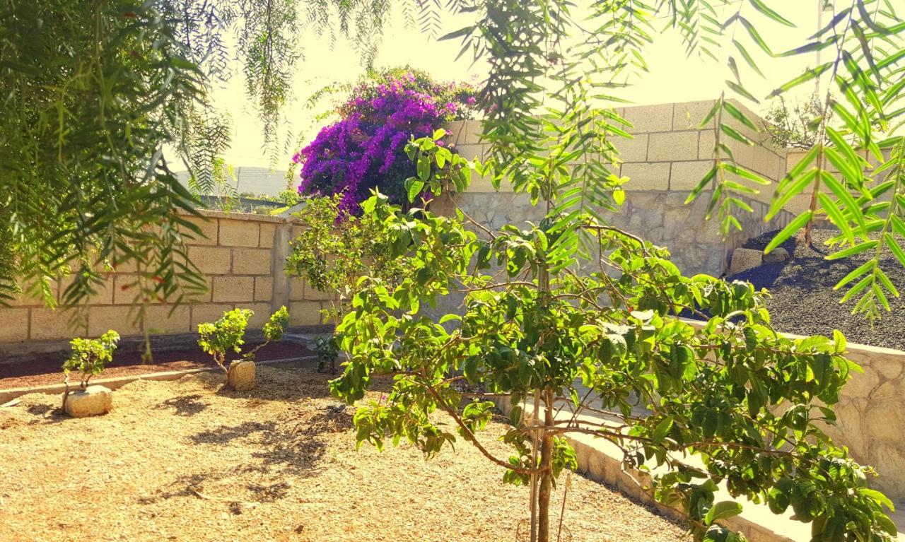 Casa Del Sur, En El Sur De Tenerife Villa Гранадиля де Абона Екстериор снимка